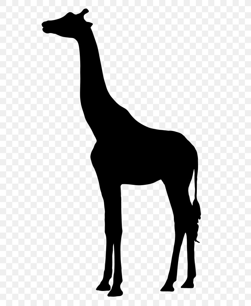 Silhouette West African Giraffe Clip Art, PNG, 667x1000px, Silhouette, Black And White, Giraffe, Giraffidae, Horse Download Free