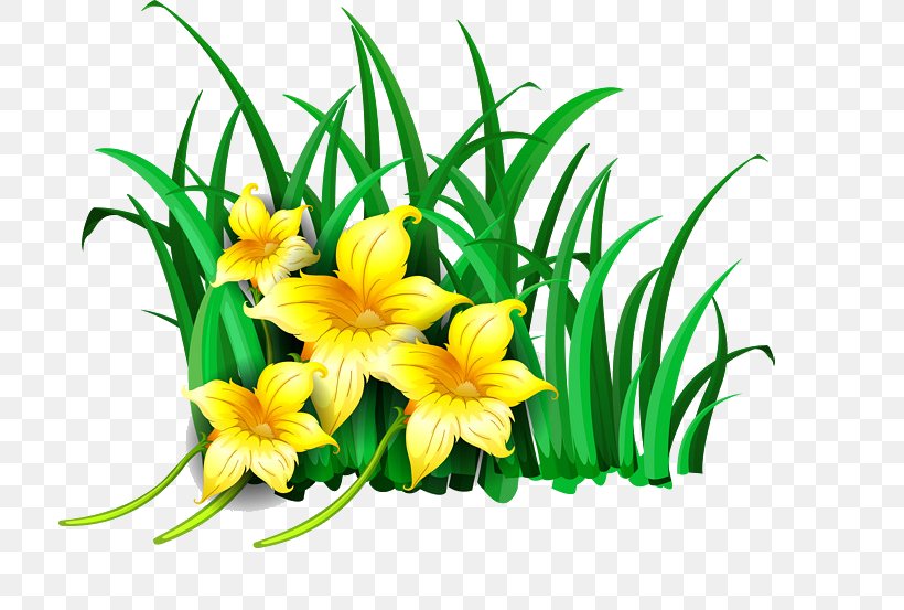 Vector Graphics Image Stock Illustration Photograph, PNG, 729x553px, Flower, Cut Flowers, Daylily, Floral Design, Floristry Download Free