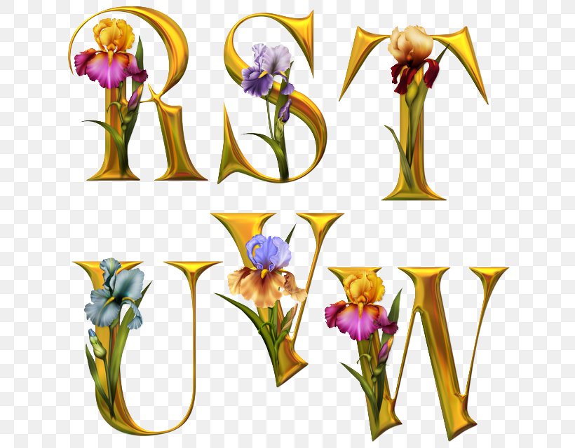 Fancy Alphabets Letter Flower Floral Design, PNG, 640x640px, Fancy Alphabets, Alpha, Alphabet, Cut Flowers, Flora Download Free