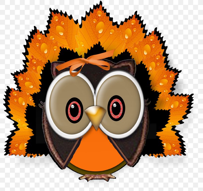 Owl Thanksgiving Clip Art, PNG, 800x774px, Owl, Beak, Bird, Bird Of Prey, Cartoon Download Free