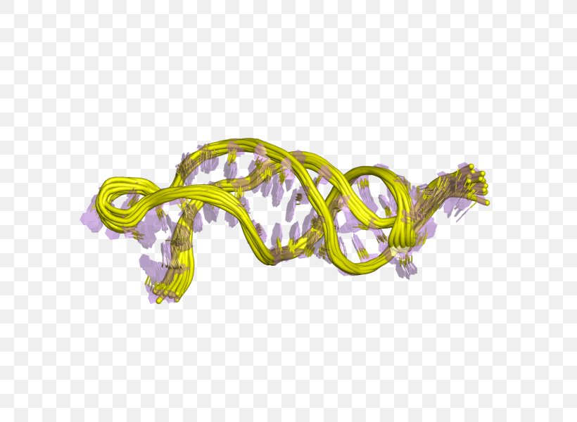 Telomerase RNA Component Non-coding RNA Telomere, PNG, 800x600px, Telomerase Rna Component, Dna, Fluorescence In Situ Hybridization, Long Noncoding Rna, Molecular Biology Download Free