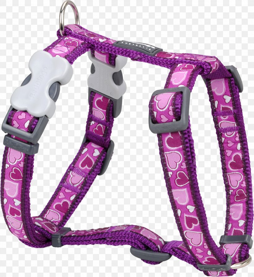 Dog Harness Dingo Puppy Dog Collar, PNG, 3000x3274px, Dog, Collar, Collie, Dingo, Dog Collar Download Free