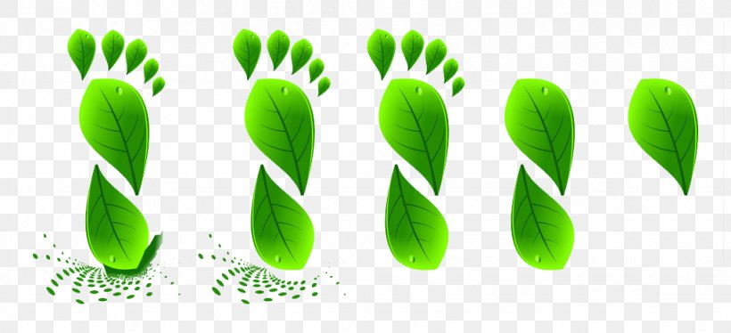 Green Icon, PNG, 1024x468px, Green, Adobe Flash Player, Brand, Footprint, Grass Download Free