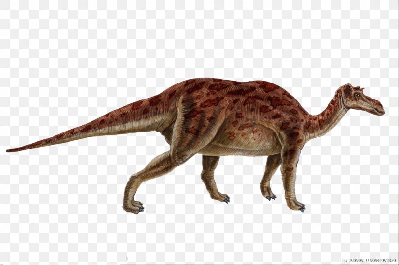 Maiasaura Iguanodontia Dinosaur Genasauria Late Cretaceous, PNG, 1024x683px, Watercolor, Cartoon, Flower, Frame, Heart Download Free