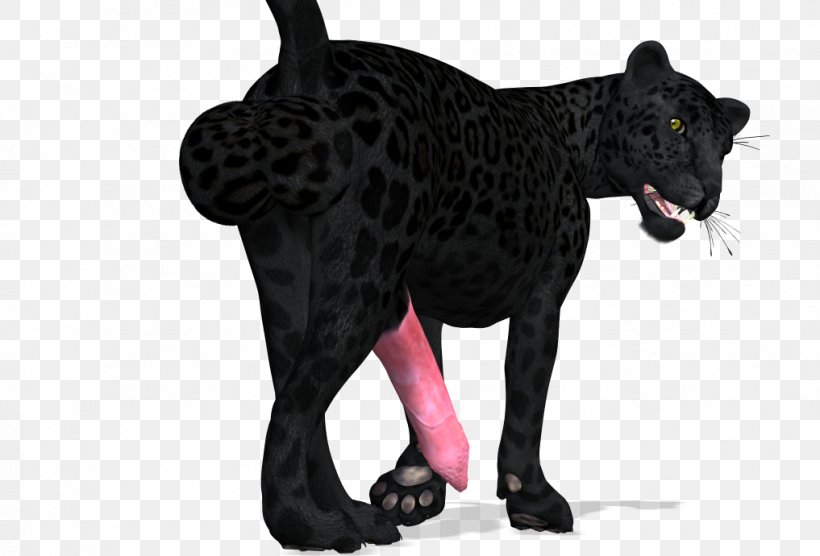 Panther Cat, PNG, 1017x690px, 2018, Panther, Big Cat, Big Cats, Black Download Free