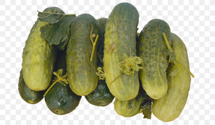 Pickled Cucumber Pickle Soup Kharcho Russian Cuisine, PNG, 700x479px, Pickled Cucumber, Cucumber, Cucumber Gourd And Melon Family, Cucumis, Dill Download Free
