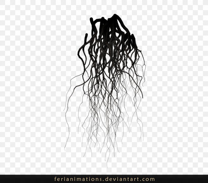 Root Tree Desktop Wallpaper, PNG, 900x792px, Root, Artwork, Black And White, Branch, Brand Download Free