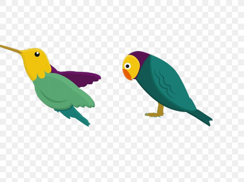 Bird Parrot Drawing, PNG, 834x624px, Bird, Animation, Beak, Cartoon, Common Pet Parakeet Download Free
