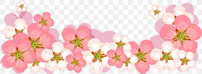 Flower Drawing Clip Art, PNG, 1600x590px, Flower, Animation, Blossom, Branch, Cherry Blossom Download Free