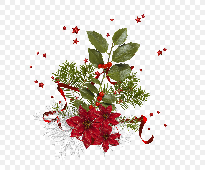Holly, PNG, 680x680px, Flower, Christmas, Hawthorn, Holly, Leaf Download Free
