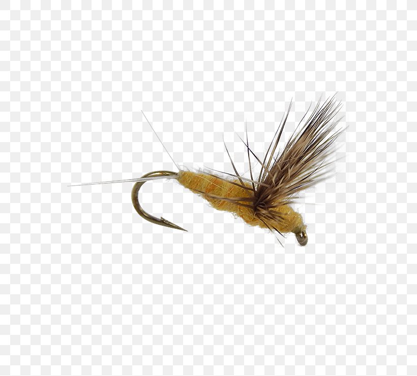 Insect Artificial Fly, PNG, 555x741px, Insect, Arthropod, Artificial Fly, Fishing Bait, Fly Download Free