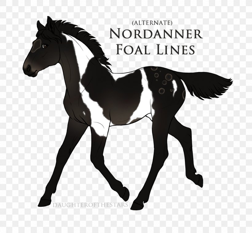 Mustang Stallion Arabian Horse Mane Pony, PNG, 1881x1745px, Mustang, Arabian Horse, Bay, Black, Black And White Download Free