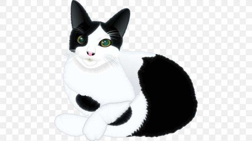 Whiskers Japanese Bobtail American Wirehair Domestic Short-haired Cat Fur, PNG, 1920x1080px, Whiskers, American Wirehair, Black And White, Carnivoran, Cat Download Free