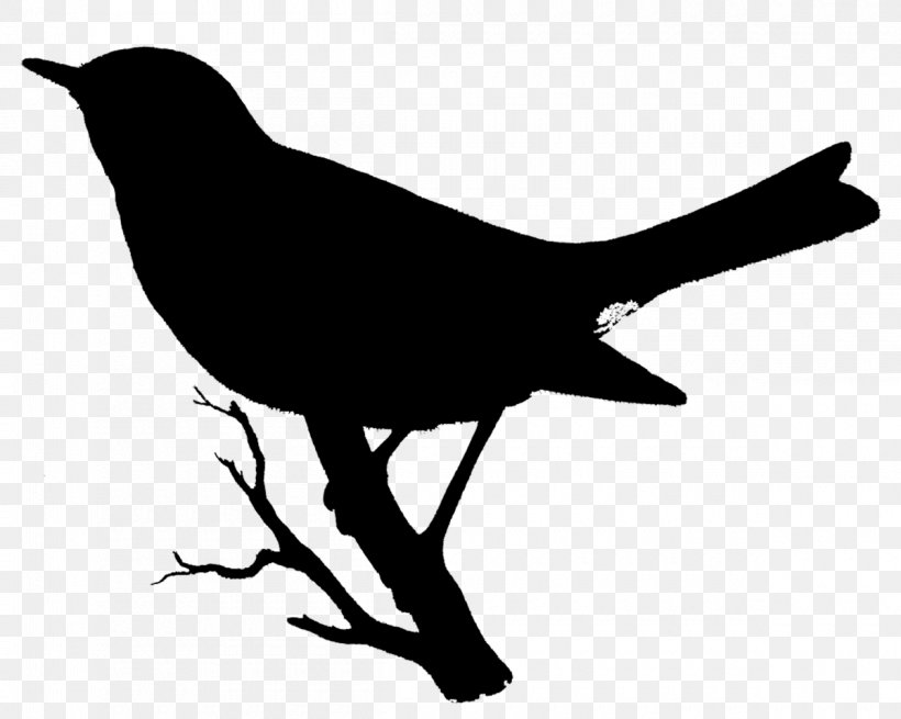 American Crow Clip Art Fauna Beak Silhouette, PNG, 1200x959px, American Crow, Beak, Bird, Blackbird, Boat Tailed Grackle Download Free