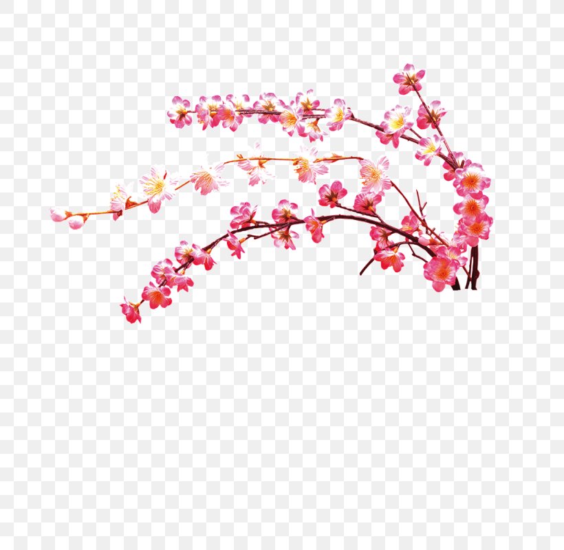 Download Plum Blossom, PNG, 800x800px, Plum Blossom, Branch, Cherry Blossom, Color, Designer Download Free