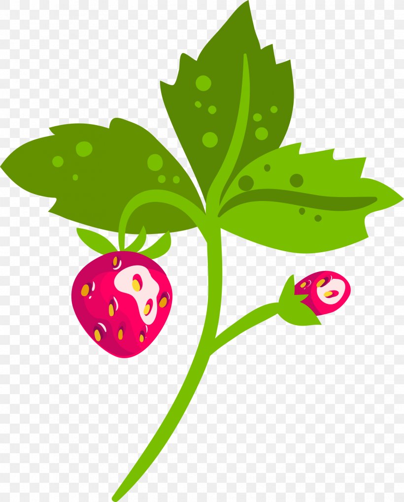 Fruit Clip Art Strawberry Image, PNG, 1931x2400px, Fruit, Artwork, Flora, Flower, Flowering Plant Download Free