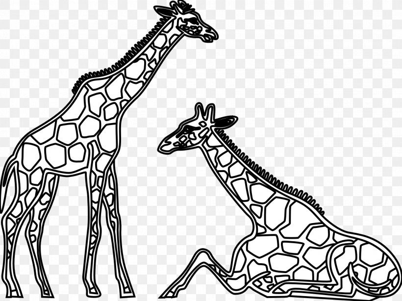 Giraffe Black And White Drawing Clip Art, PNG, 1969x1475px, Giraffe, Art, Artwork, Black And White, Cartoon Download Free