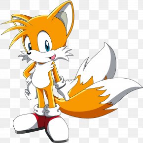 Tails Sonic the Hedgehog Sega, flying the flag, mammal, carnivoran, sonic  The Hedgehog png