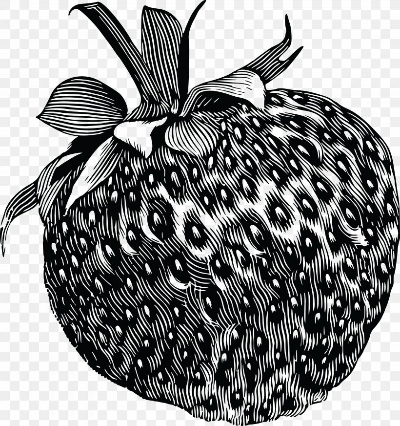 Drawing Strawberry Fruit Clip Art, PNG, 4000x4255px, Drawing, Berry, Black And White, Food, Fruit Download Free