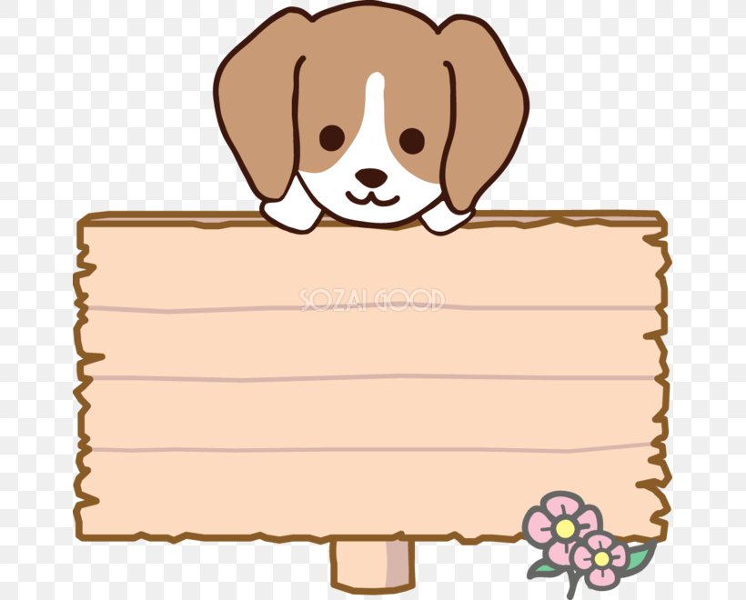 Maltese Dog Bolognese Dog Havanese Dog Border Collie Bichon Frise, PNG, 659x660px, Maltese Dog, Area, Bichon, Bichon Frise, Bolognese Dog Download Free