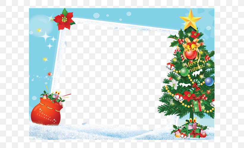 Picture Frames Christmas Tree Photography Gift, PNG, 699x499px, Picture Frames, Aquifoliaceae, Branch, Christmas, Christmas Card Download Free