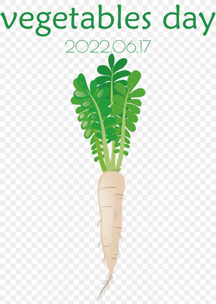 Salad, PNG, 5518x7763px, Carrot, Black Carrot, Drawing, Radish, Root Vegetables Download Free