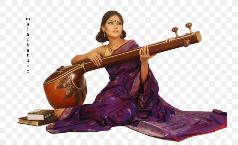 Tangail Saree Kutir Rudra Veena Sari Musical Instruments, PNG, 747x500px, Rudra Veena, Bangladesh, Best Collection, Designer, Dhaka Download Free