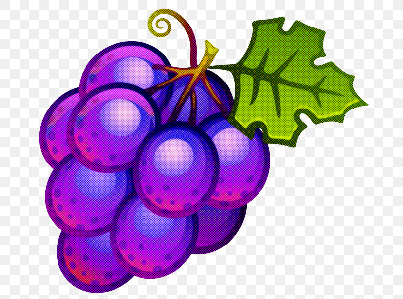 Grape Grapevine Family Purple Violet Vitis, PNG, 700x609px, Grape, Fruit, Grapevine Family, Ornament, Plant Download Free