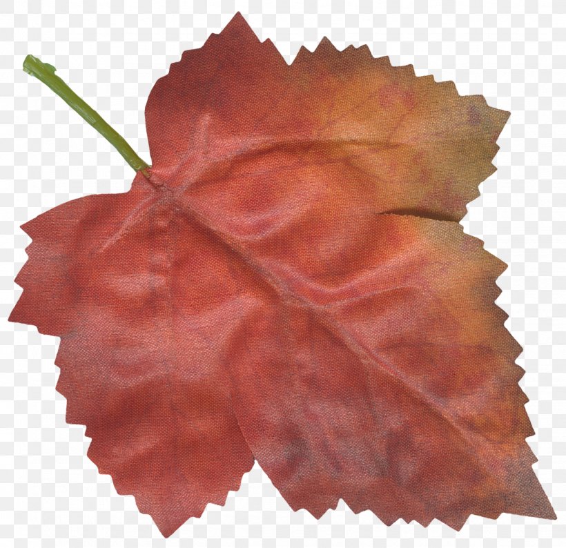 Maple Leaf Petal Flower, PNG, 1125x1090px, Leaf, Flower, Maple, Maple Leaf, Peach Download Free