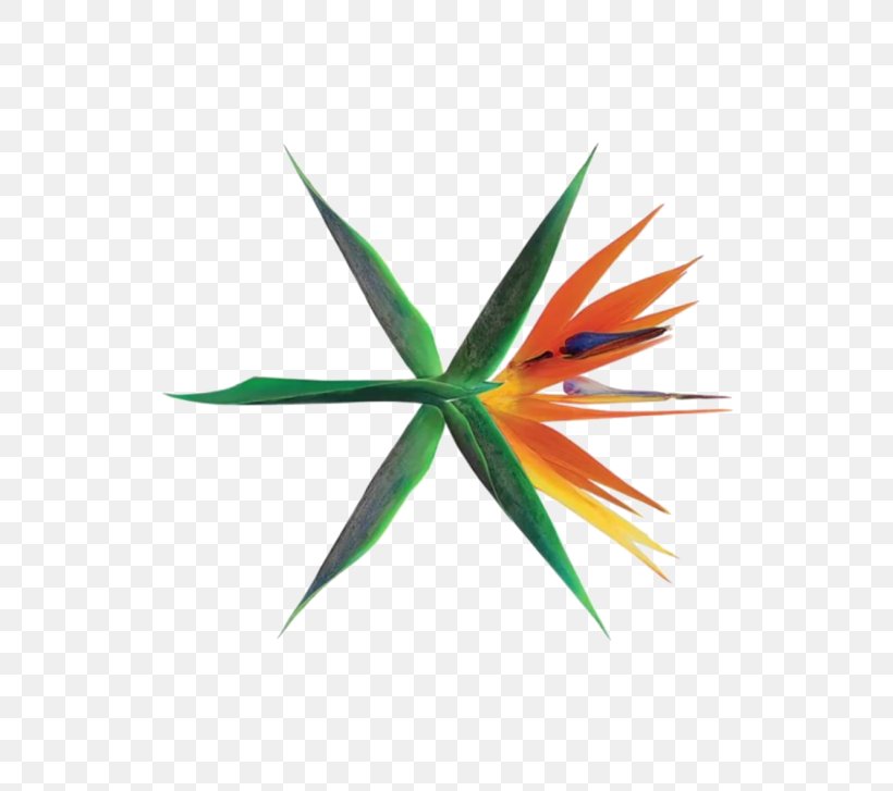 The War South Korea EXO K-pop Album, PNG, 700x727px, Watercolor, Cartoon, Flower, Frame, Heart Download Free