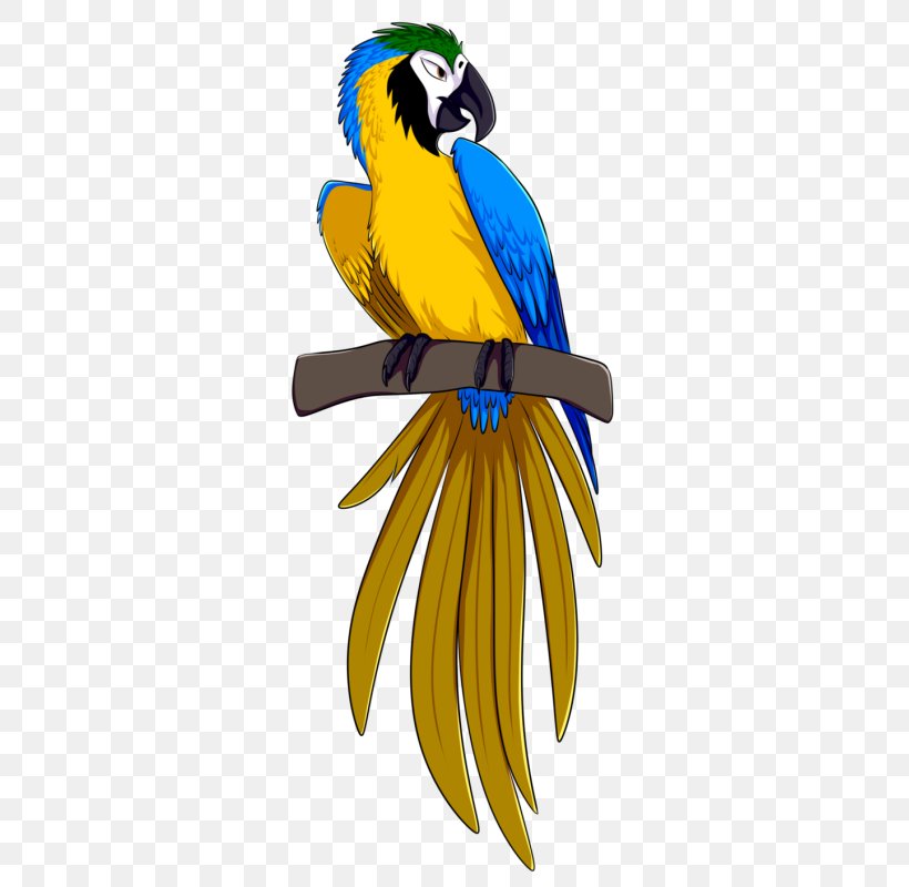 Blue-and-yellow Macaw Parrot Bird Rio, PNG, 323x800px, Macaw, Art, Beak, Bird, Blue Download Free
