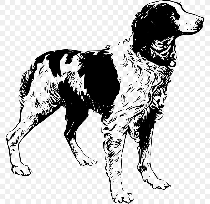 Brittany Dog English Cocker Spaniel English Setter Airedale Terrier, PNG, 774x800px, Brittany Dog, Airedale Terrier, Black And White, Brittany, Carnivoran Download Free