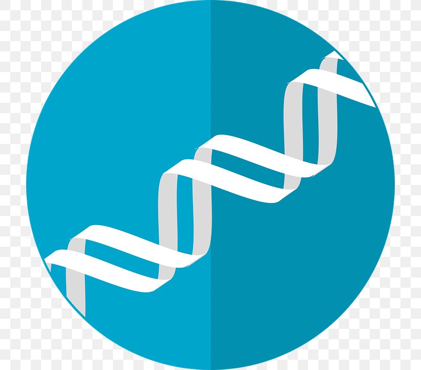 Genetics DNA Nucleic Acid Double Helix, PNG, 718x720px, Genetics, Aqua, Biology, Blue, Brand Download Free