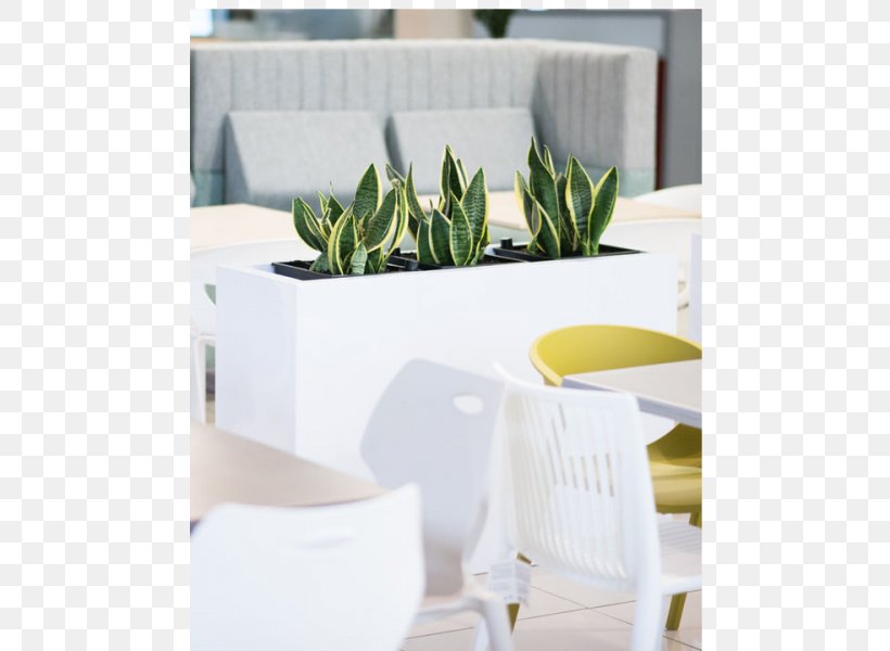 Vase Porcelain Angle Flowerpot, PNG, 600x600px, Vase, Ceramic, Drinkware, Flowerpot, Furniture Download Free