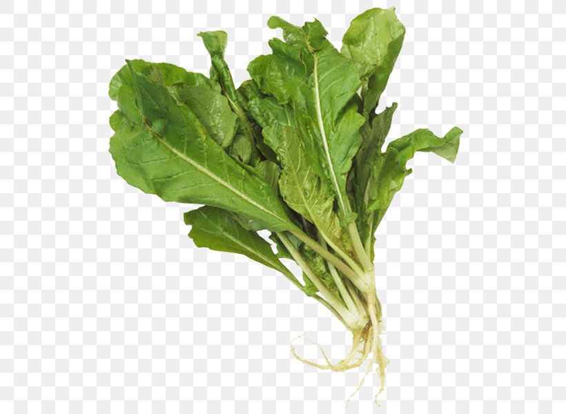 Chard Spinach Arugula Leaf Vegetable, PNG, 534x600px, Chard, Arugula, Choy Sum, Collard Greens, Coriander Download Free
