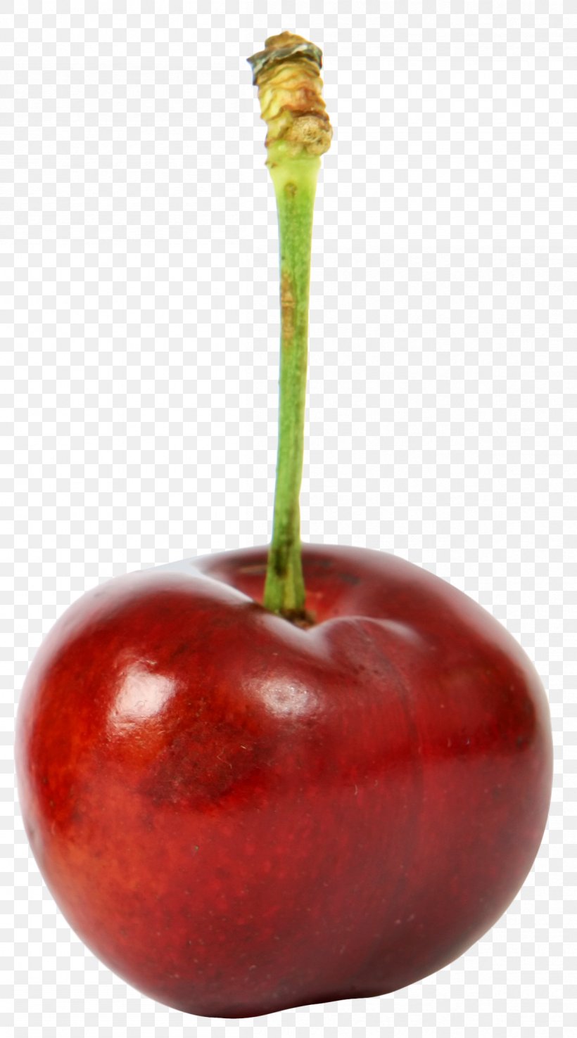 Cherry Ripe, PNG, 1204x2168px, Cherry, Apple, Computer Network, Email, Food Download Free