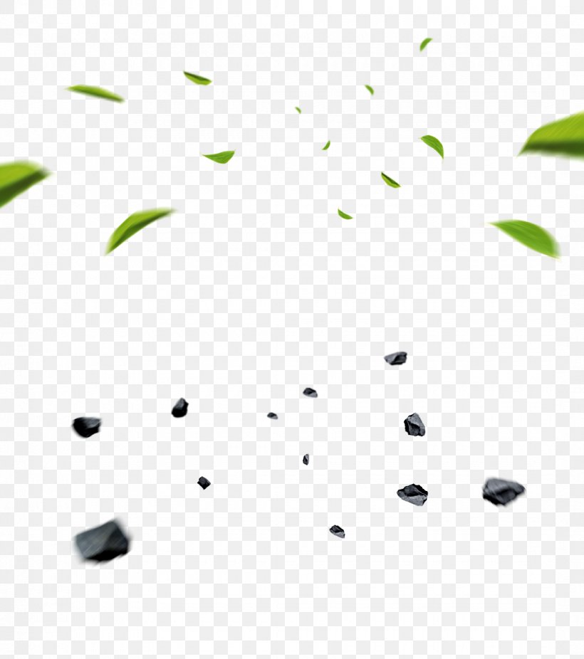 Download, PNG, 1080x1220px, Leaf, Branch, Chemical Element, Computer Software, Grass Download Free