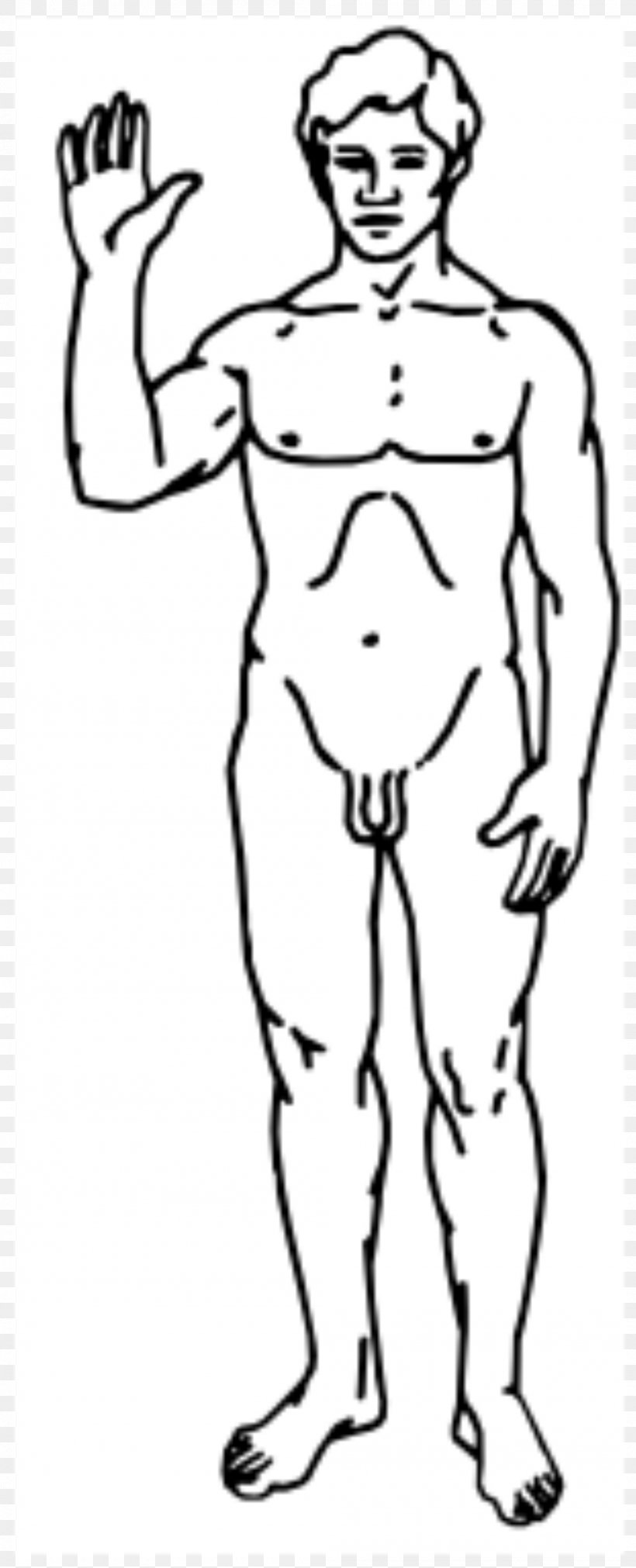 Man Homo Sapiens Raster Graphics, PNG, 2000x4933px, Watercolor, Cartoon, Flower, Frame, Heart Download Free