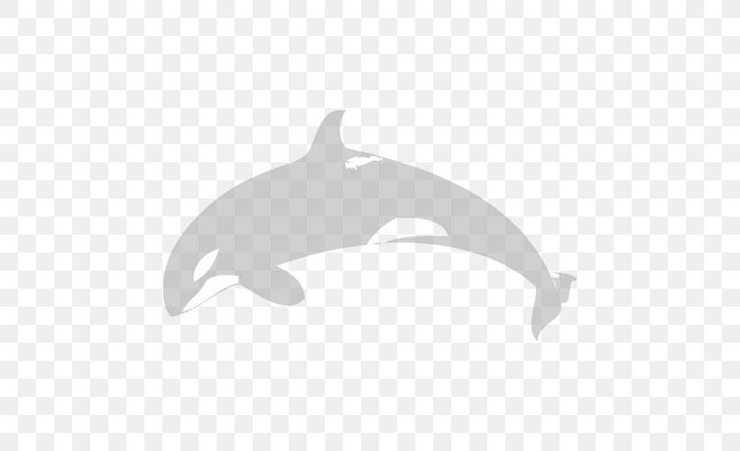 Porpoise Common Bottlenose Dolphin Cetacea Marine Mammal, PNG, 500x500px, Porpoise, Animal, Black, Black And White, Blue Whale Download Free