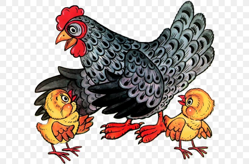 Rooster Leghorn Chicken Galliformes Poultry Clip Art, PNG, 600x539px, Rooster, Art, Beak, Bird, Chicken Download Free