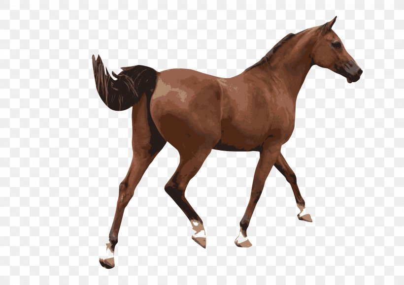 American Paint Horse Equestrian Clip Art, PNG, 2400x1697px, American Paint Horse, Animal Figure, Bit, Bridle, Colt Download Free