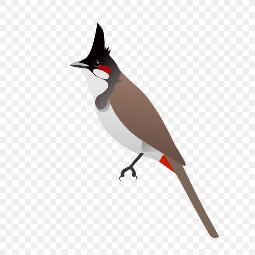 Bird Red-whiskered Bulbul, PNG, 2000x2000px, Bird, Animal, Beak, Bulbul, Common Nightingale Download Free