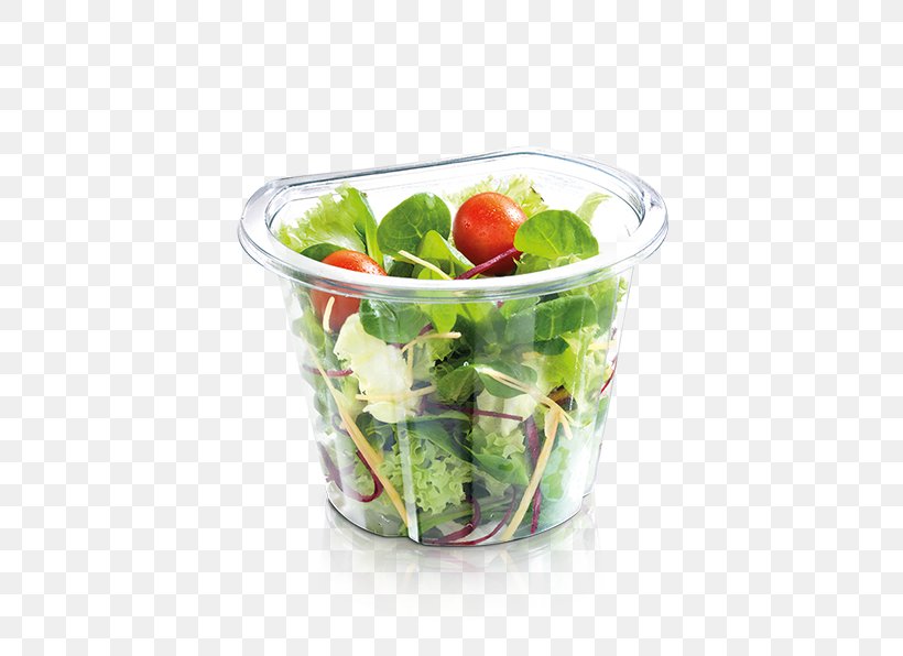 Health Shake Glass Leaf Vegetable Tableware, PNG, 800x596px, Health Shake, Diet Food, Dish, Fruit, Glass Download Free