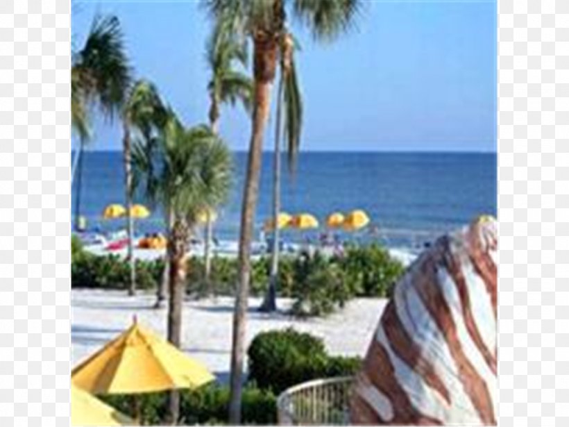 Arecaceae Beach Resort Vacation Leisure, PNG, 1024x768px, Arecaceae, Arecales, Beach, Caribbean, Leisure Download Free