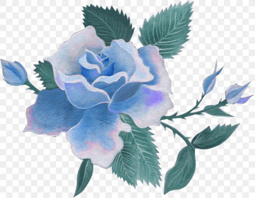 Centifolia Roses Cut Flowers Blue Rose, PNG, 1149x894px, Centifolia Roses, Blue, Blue Flower, Blue Rose, Cut Flowers Download Free
