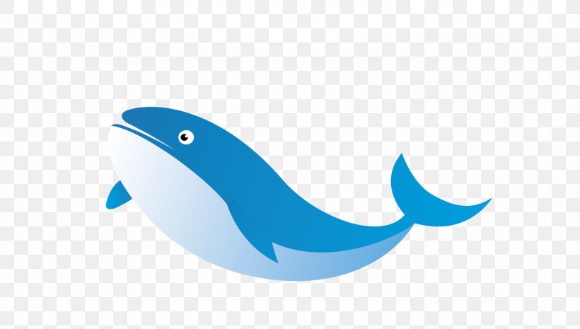 Dolphin Logo Turquoise Illustration, PNG, 1550x879px, Dolphin, Aqua, Azure, Blue, Brand Download Free