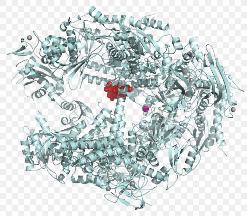 RNA Polymerase III, PNG, 1000x874px, Rna Polymerase, Alphaamanitin, Body Jewelry, Dna, Dna Polymerase Download Free