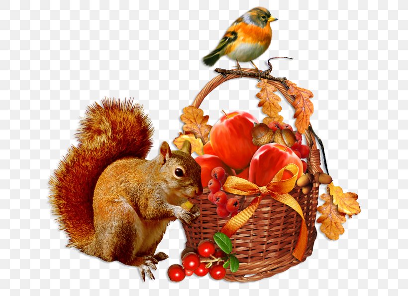 Clip Art Morning GIF Image Autumn, PNG, 650x594px, Morning, Autumn, Blog, Chipmunk, Email Download Free