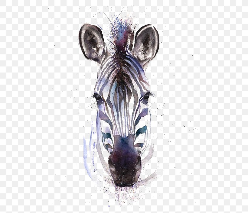 Watercolor Painting Zebra Printmaking Giclxe9e, PNG, 564x705px, Watercolor Painting, Animal Print, Art, Artist, Brush Download Free