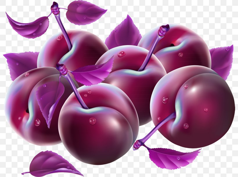 Cherry Fruit Plum Clip Art, PNG, 800x612px, Cherry, Apple, Berry, Cherry Blossom, Drawing Download Free